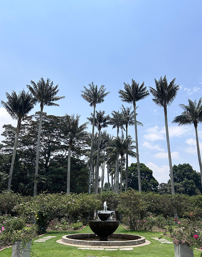 Jardin-botanico